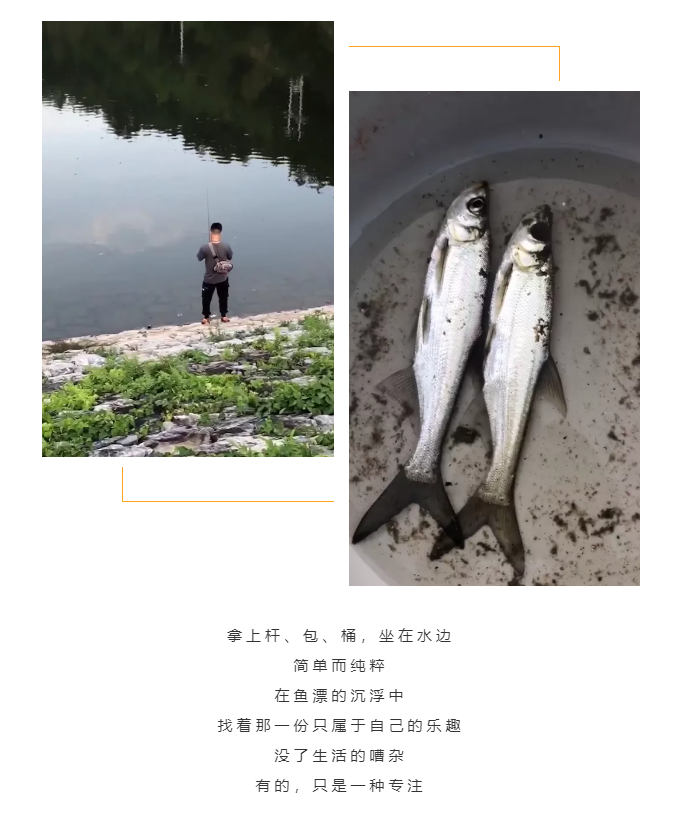 秋天了，來一場(chǎng)成年人的秋游吧(圖5)