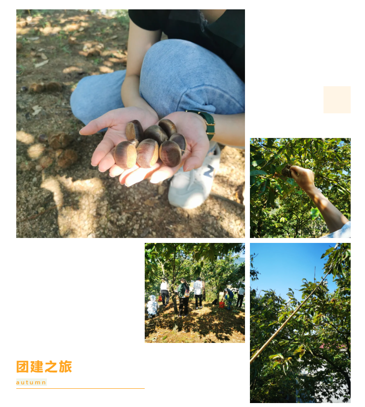 秋天了，來一場(chǎng)成年人的秋游吧(圖6)